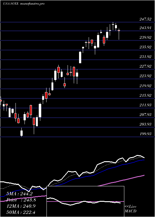 Daily chart IsharesPhlx