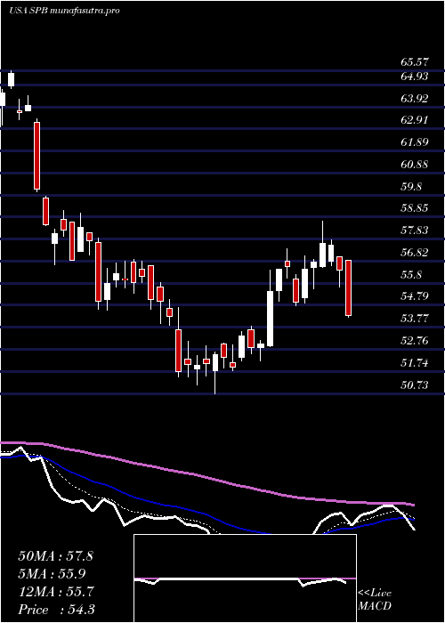 Daily chart SpectrumBrands