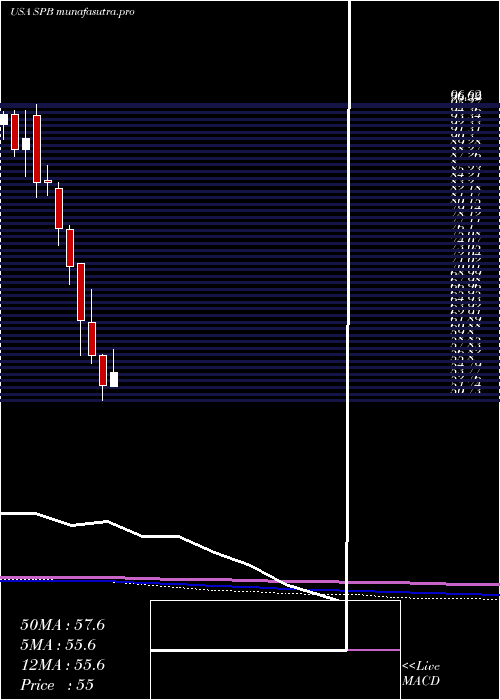 monthly chart SpectrumBrands