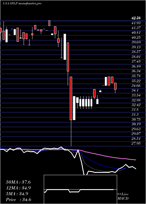  Daily chart SteelPartners