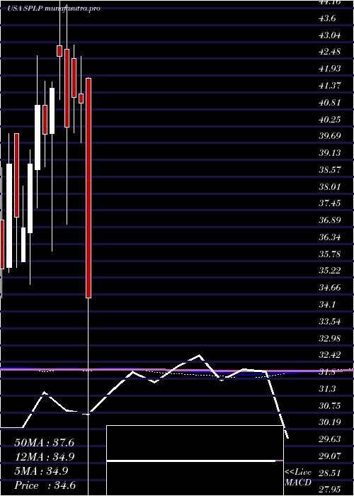  monthly chart SteelPartners