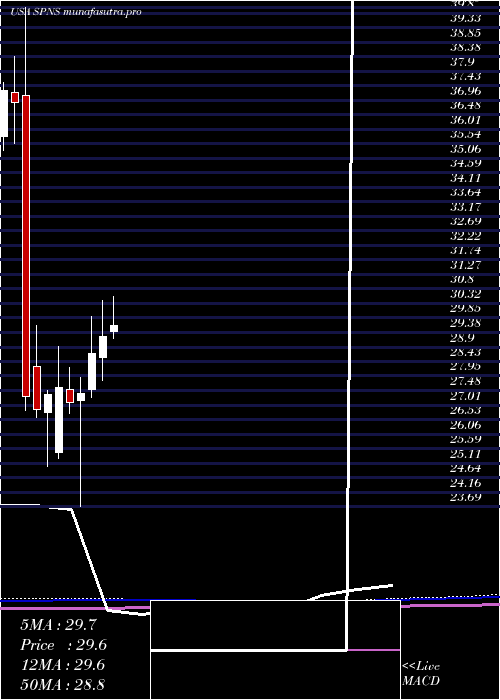 monthly chart SapiensInternational