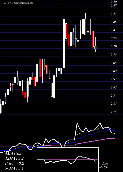  Daily chart SeritageGrowth