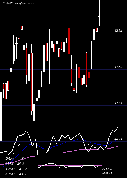  Daily chart CushingMlp