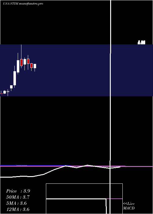 monthly chart NeuroneticsInc