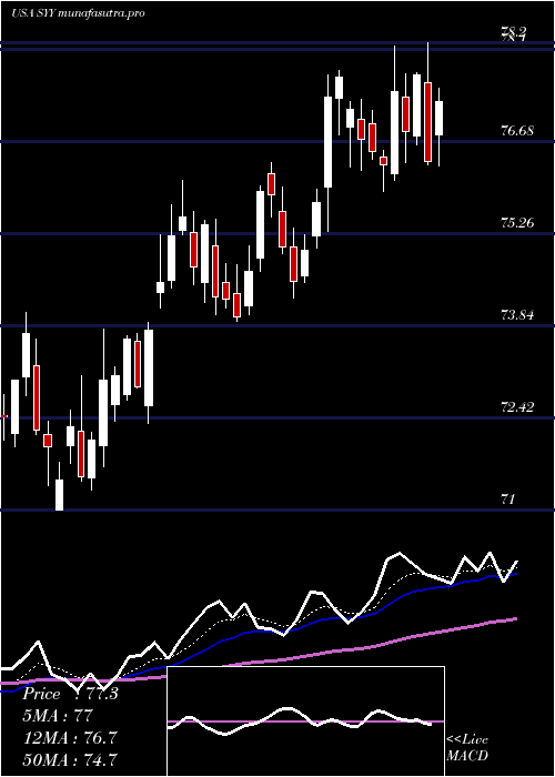 Daily chart SyscoCorporation