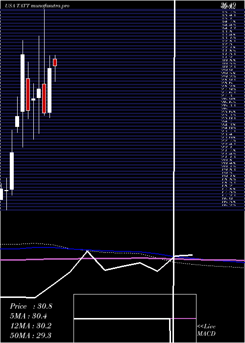 monthly chart TatTechnologies
