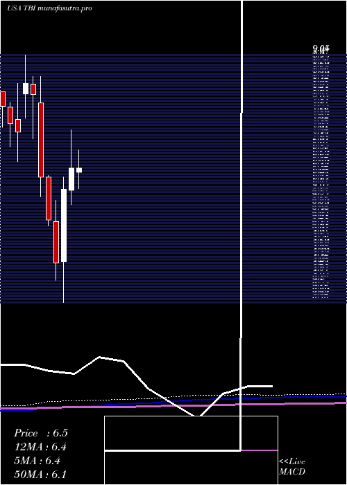monthly chart TrueblueInc
