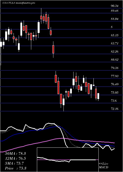 Daily chart TecnoglassInc