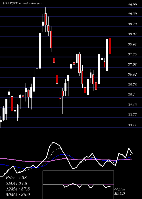 Daily chart TgTherapeutics