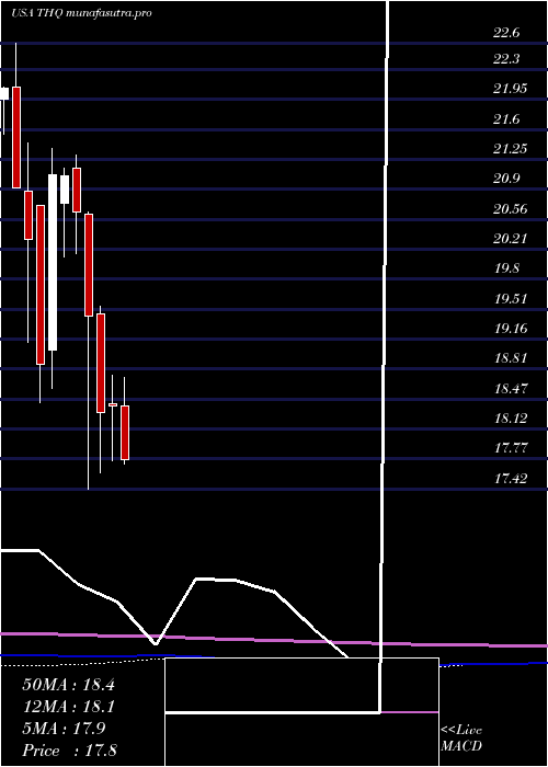 monthly chart TeklaHealthcare