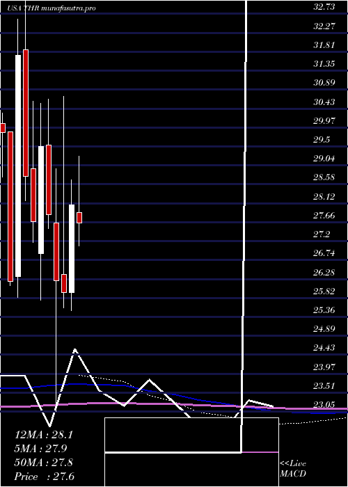 monthly chart ThermonGroup