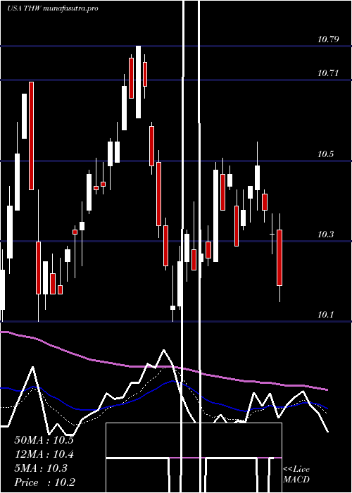 Daily chart TeklaWorld