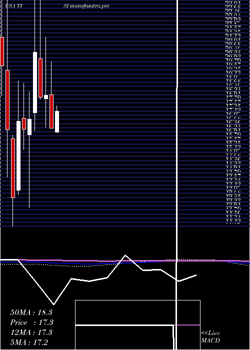  monthly chart TeamInc