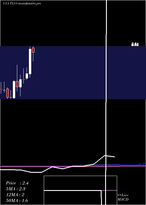  monthly chart TizianaLife