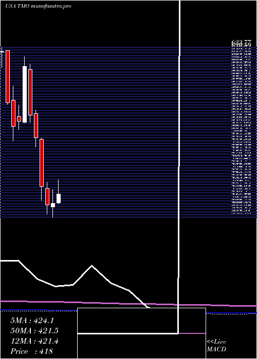 monthly chart ThermoFisher