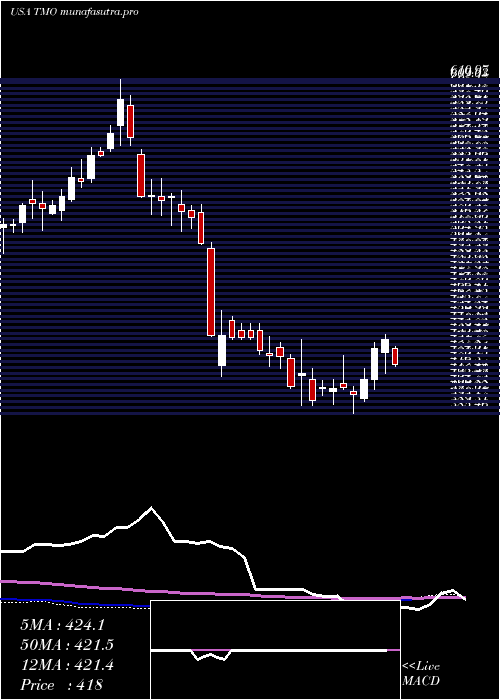 weekly chart ThermoFisher