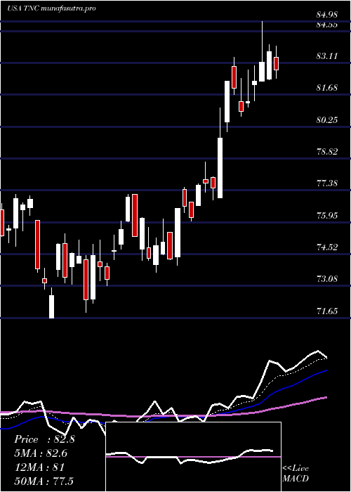 Daily chart TennantCompany