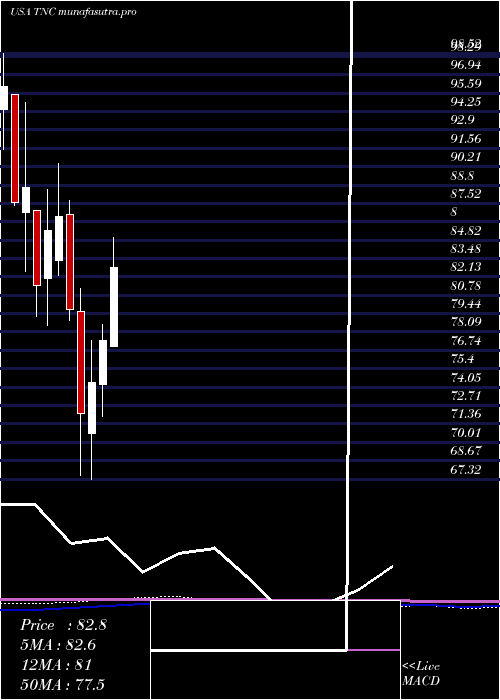 monthly chart TennantCompany