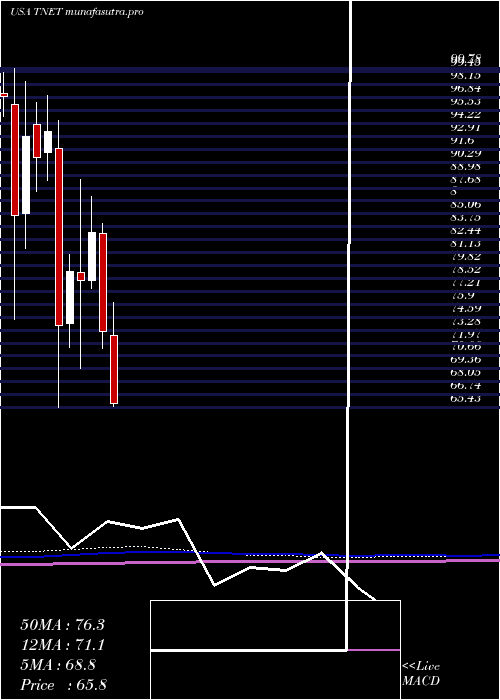 monthly chart TrinetGroup