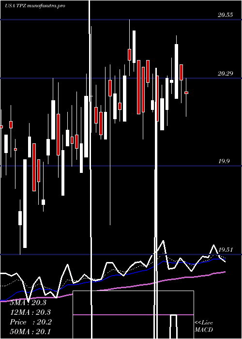 Daily chart TortoisePower
