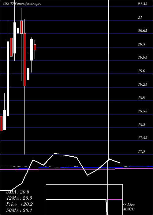 monthly chart TortoisePower