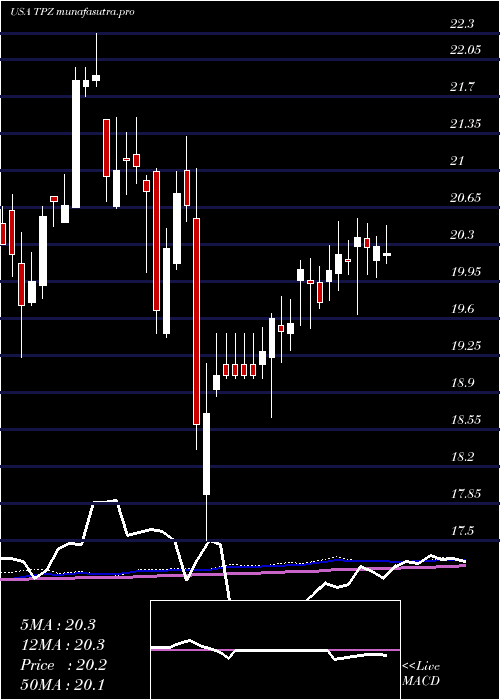 weekly chart TortoisePower
