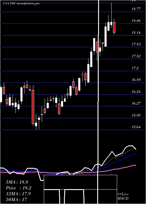 Daily chart TejonRanch