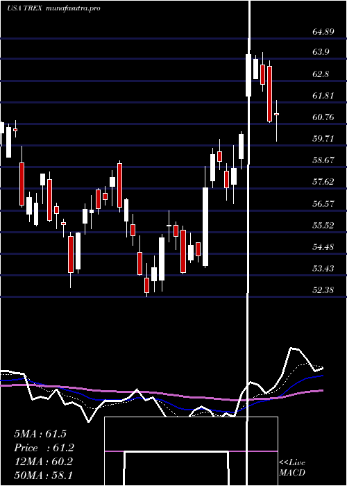 Daily chart TrexCompany