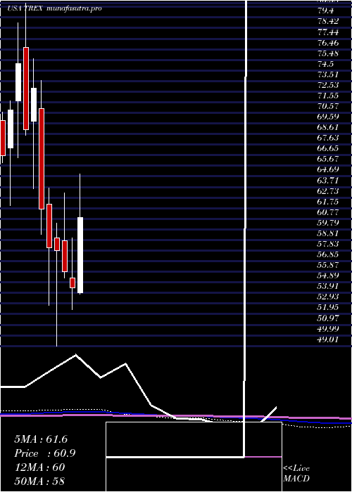 monthly chart TrexCompany