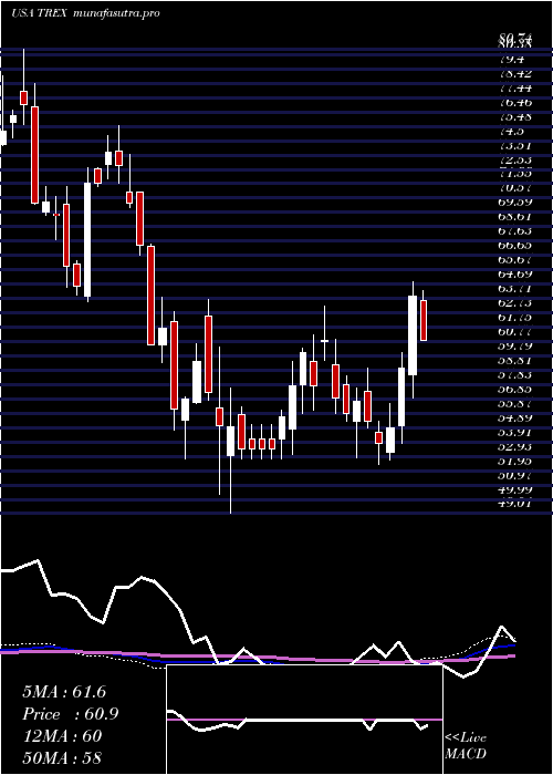 weekly chart TrexCompany