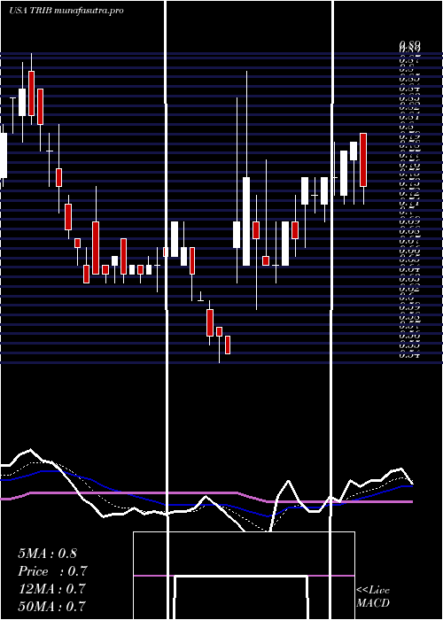 Daily chart TrinityBiotech
