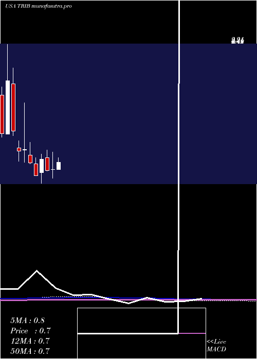monthly chart TrinityBiotech