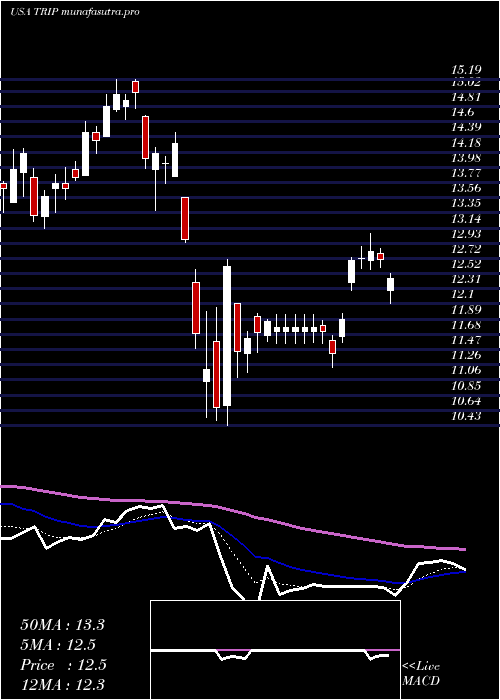  Daily chart TripadvisorInc