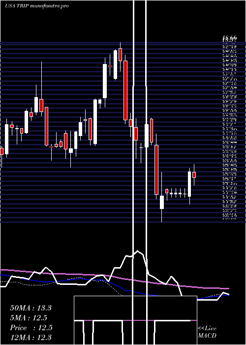  weekly chart TripadvisorInc