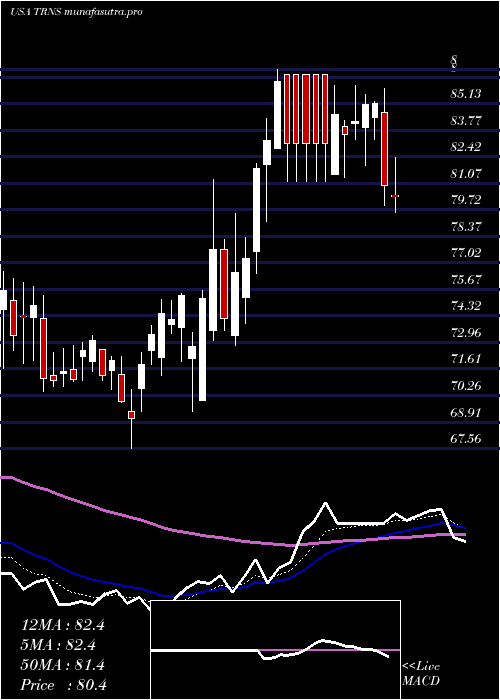  Daily chart TranscatInc