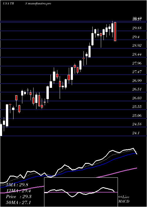Daily chart TrimasCorporation