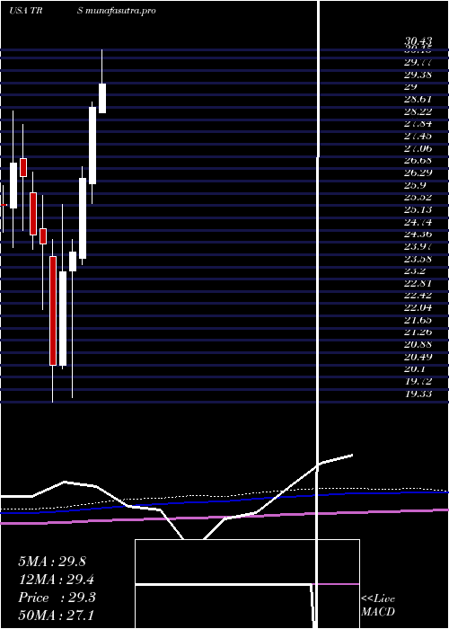 monthly chart TrimasCorporation