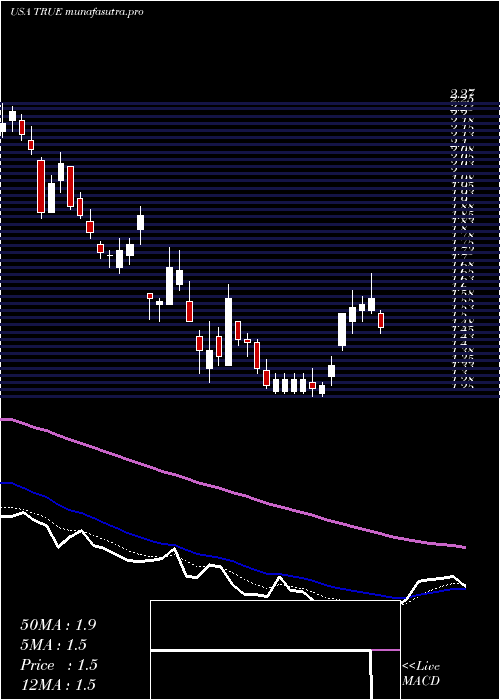  Daily chart TruecarInc