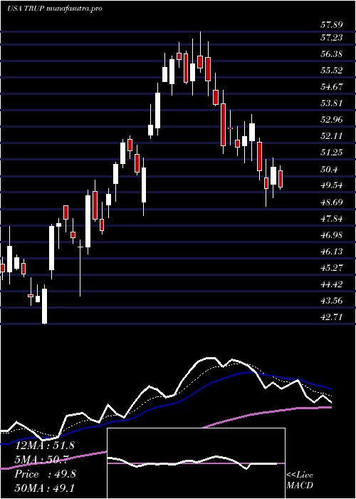 Daily chart TrupanionInc