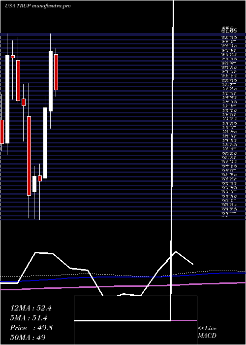 monthly chart TrupanionInc