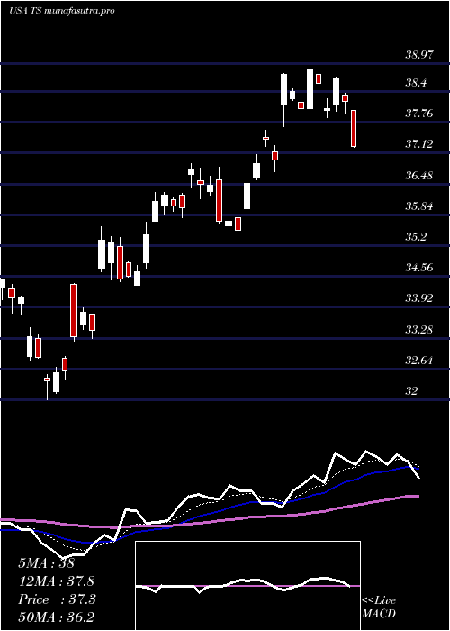 Daily chart TenarisS