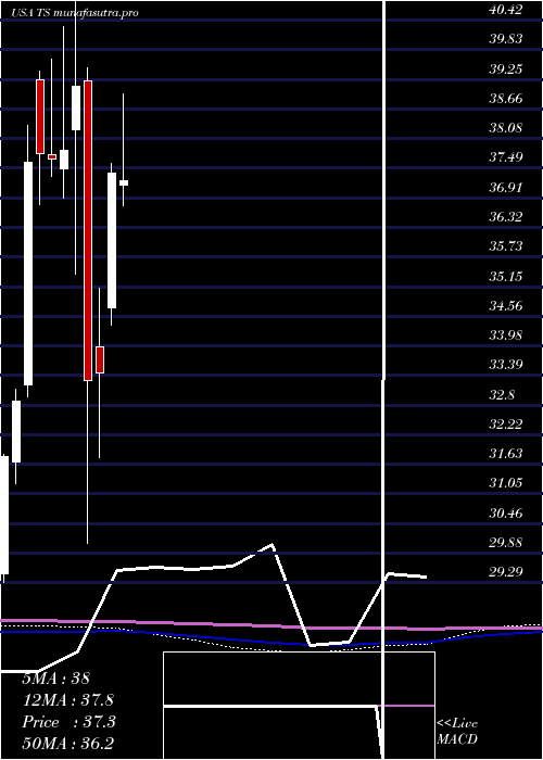 monthly chart TenarisS