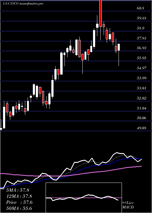  Daily chart TractorSupply