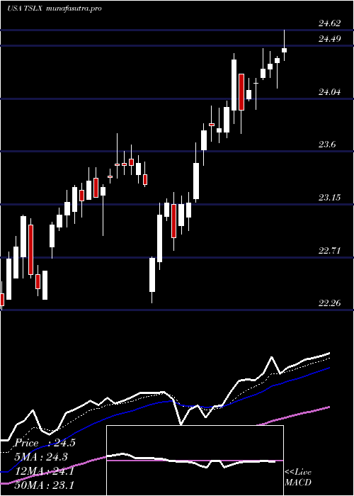 Daily chart TpgSpecialty