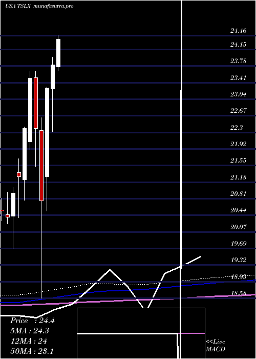 monthly chart TpgSpecialty
