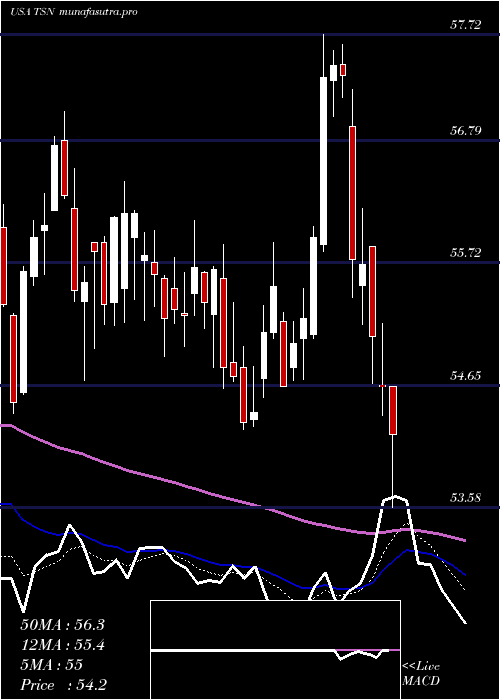 Daily chart TysonFoods