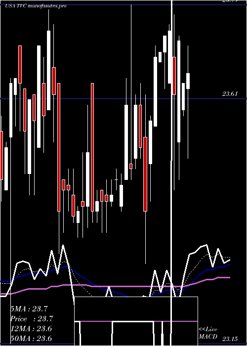 Daily chart TennesseeValley