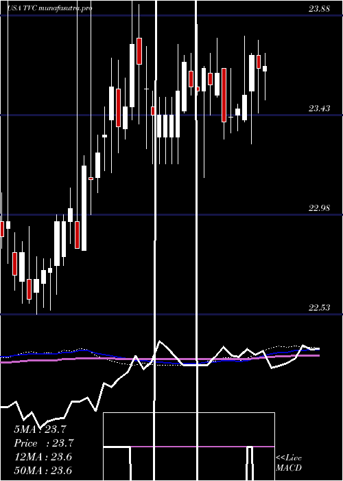weekly chart TennesseeValley