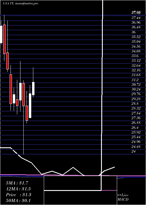 monthly chart TerniumS
